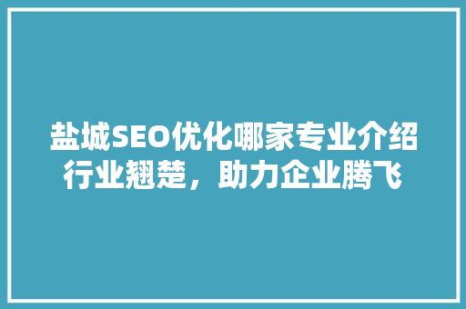 盐城SEO优化哪家专业介绍行业翘楚，助力企业腾飞