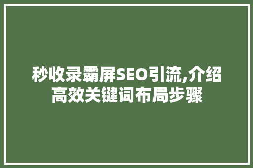 秒收录霸屏SEO引流,介绍高效关键词布局步骤