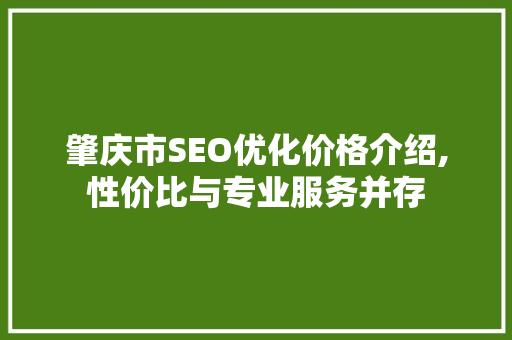 肇庆市SEO优化价格介绍,性价比与专业服务并存
