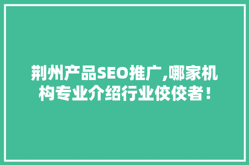 荆州产品SEO推广,哪家机构专业介绍行业佼佼者！  第1张
