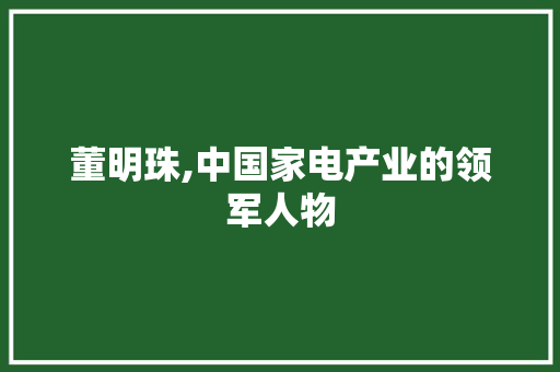 董明珠,中国家电产业的领军人物