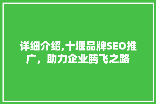 详细介绍,十堰品牌SEO推广，助力企业腾飞之路
