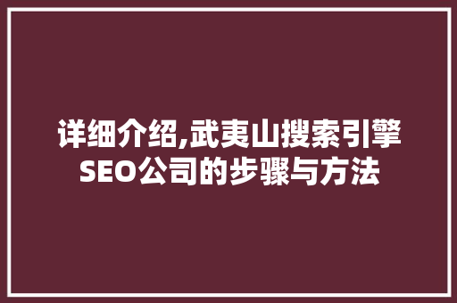 详细介绍,武夷山搜索引擎SEO公司的步骤与方法