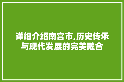 详细介绍南宫市,历史传承与现代发展的完美融合