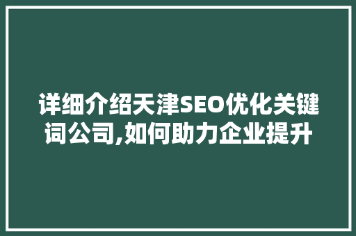 详细介绍天津SEO优化关键词公司,如何助力企业提升在线竞争力