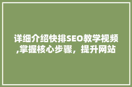详细介绍快排SEO教学视频,掌握核心步骤，提升网站排名