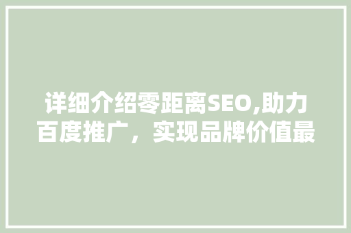 详细介绍零距离SEO,助力百度推广，实现品牌价值最大化