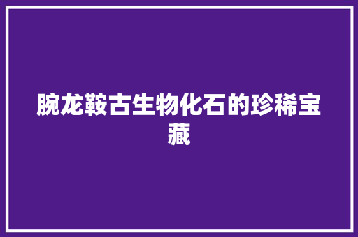 腕龙鞍古生物化石的珍稀宝藏