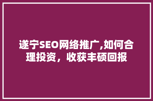 遂宁SEO网络推广,如何合理投资，收获丰硕回报