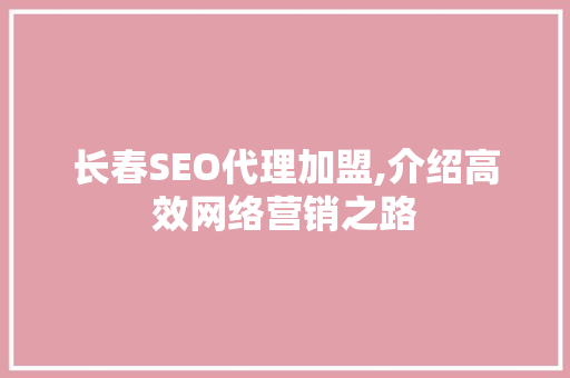 长春SEO代理加盟,介绍高效网络营销之路