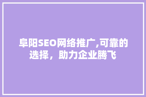 阜阳SEO网络推广,可靠的选择，助力企业腾飞
