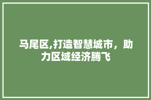 马尾区,打造智慧城市，助力区域经济腾飞