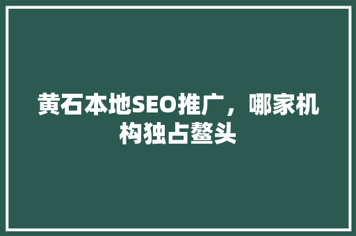 黄石本地SEO推广，哪家机构独占鳌头
