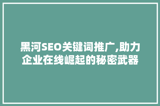 黑河SEO关键词推广,助力企业在线崛起的秘密武器