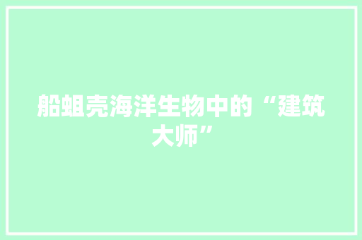 船蛆壳海洋生物中的“建筑大师”