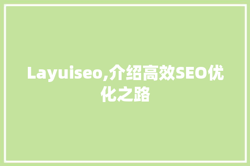 Layuiseo,介绍高效SEO优化之路