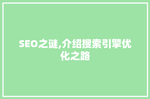 SEO之谜,介绍搜索引擎优化之路