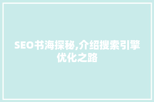SEO书海探秘,介绍搜索引擎优化之路