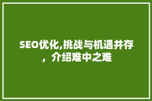 SEO优化,挑战与机遇并存，介绍难中之难