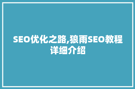 SEO优化之路,狼雨SEO教程详细介绍
