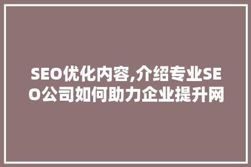 SEO优化内容,介绍专业SEO公司如何助力企业提升网站排名