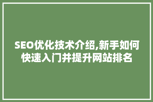 SEO优化技术介绍,新手如何快速入门并提升网站排名