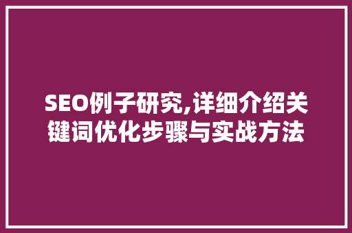 SEO例子研究,详细介绍关键词优化步骤与实战方法