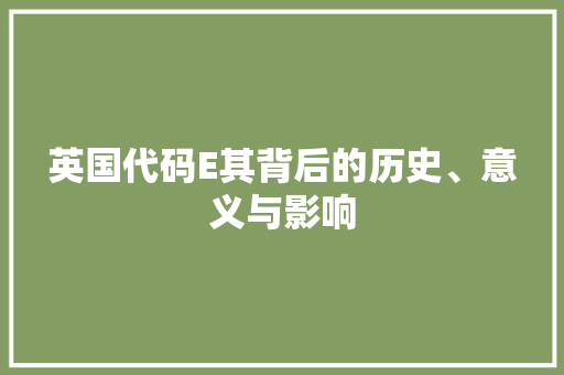 英国代码E其背后的历史、意义与影响