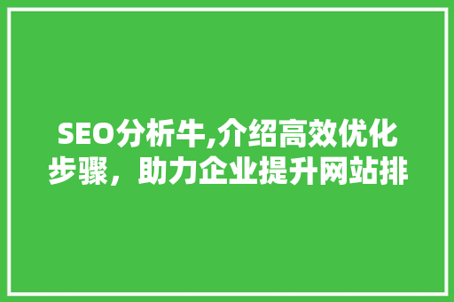 SEO分析牛,介绍高效优化步骤，助力企业提升网站排名