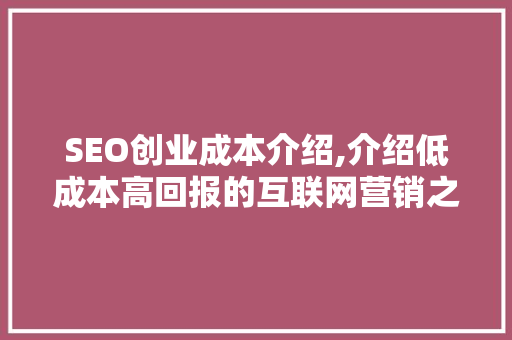 SEO创业成本介绍,介绍低成本高回报的互联网营销之路