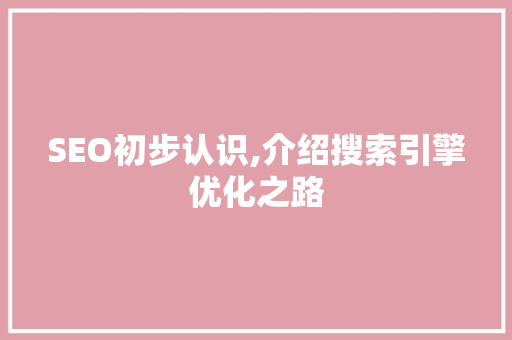 SEO初步认识,介绍搜索引擎优化之路