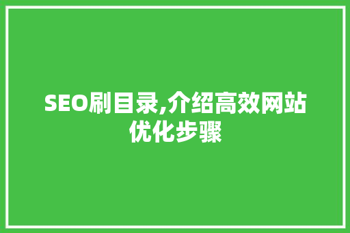 SEO刷目录,介绍高效网站优化步骤