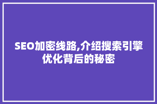 SEO加密线路,介绍搜索引擎优化背后的秘密