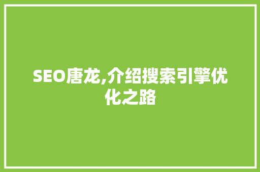 SEO唐龙,介绍搜索引擎优化之路