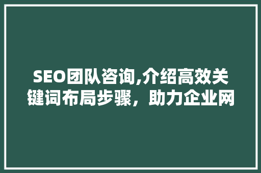 SEO团队咨询,介绍高效关键词布局步骤，助力企业网站优化