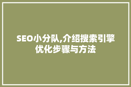 SEO小分队,介绍搜索引擎优化步骤与方法