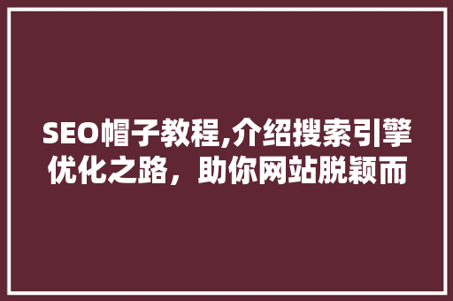 SEO帽子教程,介绍搜索引擎优化之路，助你网站脱颖而出  第1张