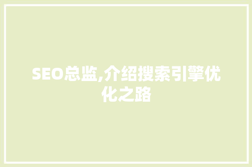 SEO总监,介绍搜索引擎优化之路
