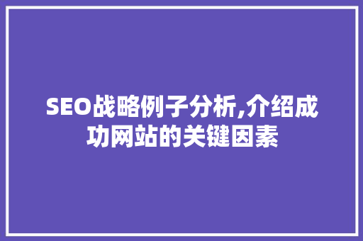 SEO战略例子分析,介绍成功网站的关键因素