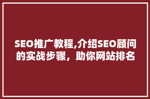 SEO推广教程,介绍SEO顾问的实战步骤，助你网站排名飞跃