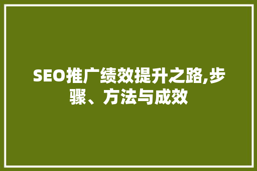 SEO推广绩效提升之路,步骤、方法与成效