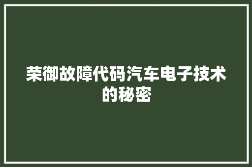荣御故障代码汽车电子技术的秘密