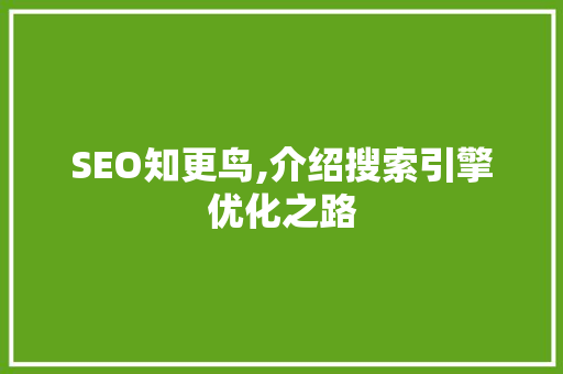SEO知更鸟,介绍搜索引擎优化之路