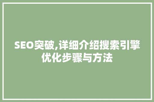 SEO突破,详细介绍搜索引擎优化步骤与方法