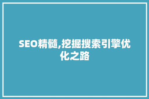 SEO精髓,挖掘搜索引擎优化之路