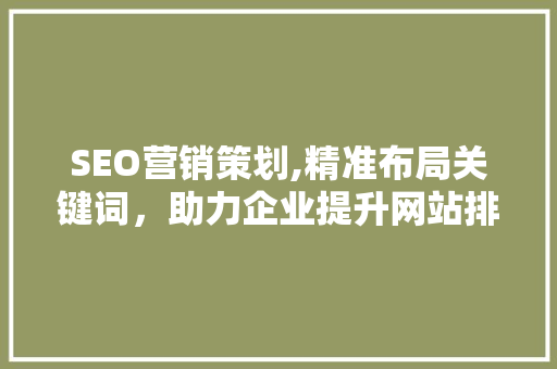 SEO营销策划,精准布局关键词，助力企业提升网站排名