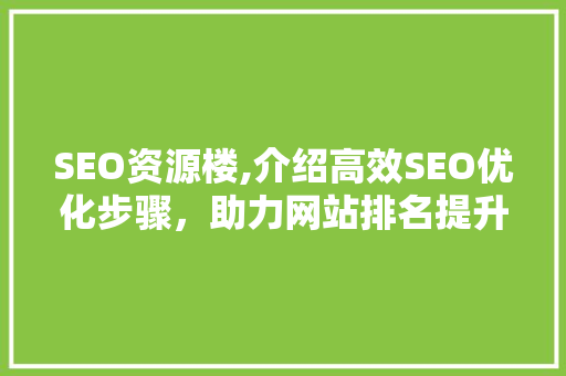 SEO资源楼,介绍高效SEO优化步骤，助力网站排名提升