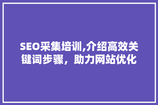 SEO采集培训,介绍高效关键词步骤，助力网站优化  第1张