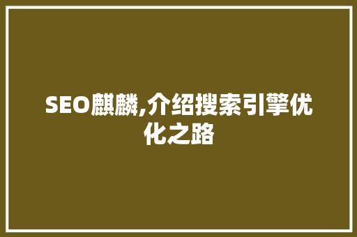 SEO麒麟,介绍搜索引擎优化之路