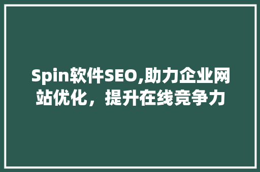 Spin软件SEO,助力企业网站优化，提升在线竞争力